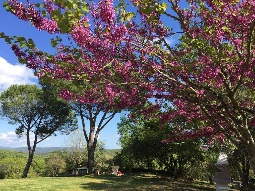 Campo Di Carlo Guest House ซัสเซ็ตตา ภายนอก รูปภาพ